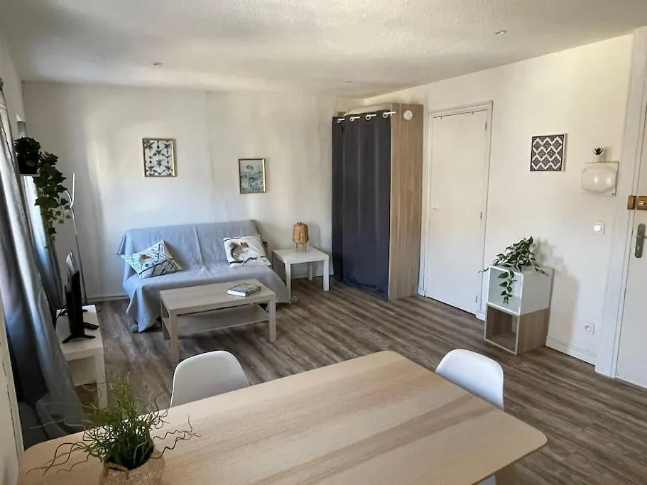 Grand Studio A 100M Des Plages Toulon Apartment